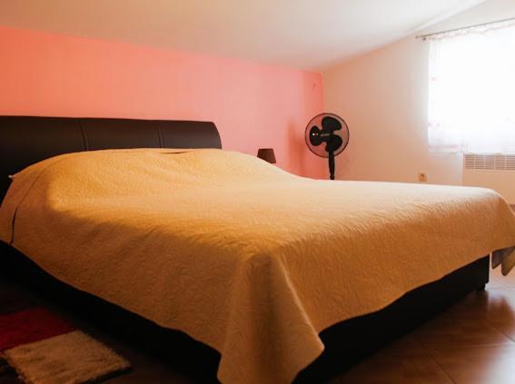 Apartments Ombla ザダル エクステリア 写真
